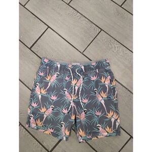 Party Pants Mens Tropical Parrot Bird of Paradise Swim Trunks Gray PR201181-L